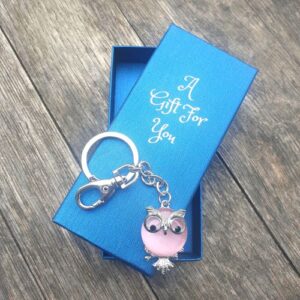 Owl pink keyring keychain boxed gift