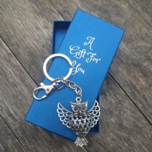 Silver owl metal keyring keychain boxed gift