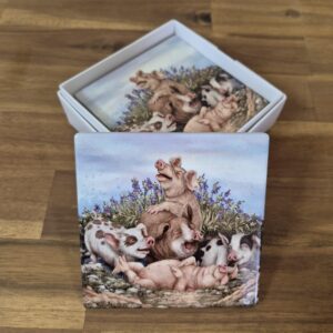 pigs playing set of 4 boxed coasters